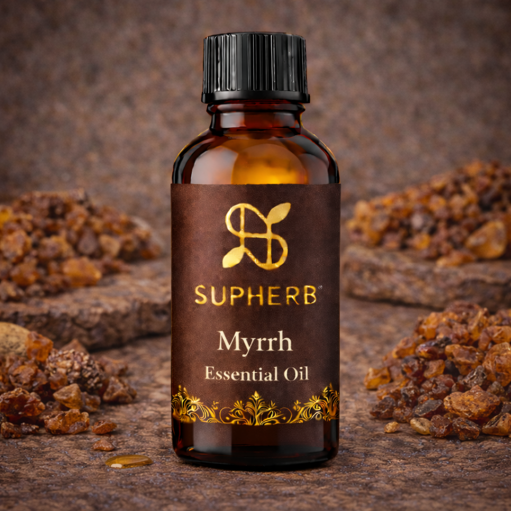 ChatGPT Image Feb 16, 2026, 12_50_30 AM