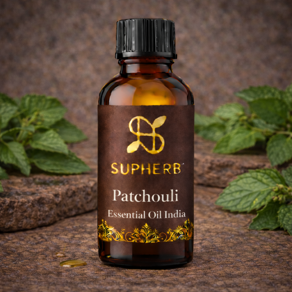 ChatGPT Image Feb 16, 2026, 12_57_21 AM